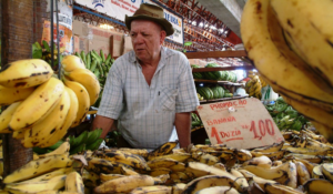 Ter o próprio negócio volta a figurar entre os maiores sonhos do brasileiro
